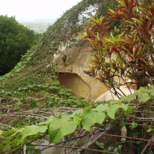 TERMITE NEST CITY (4).JPG