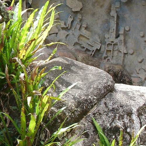 TERMITE NEST CITY (54).JPG