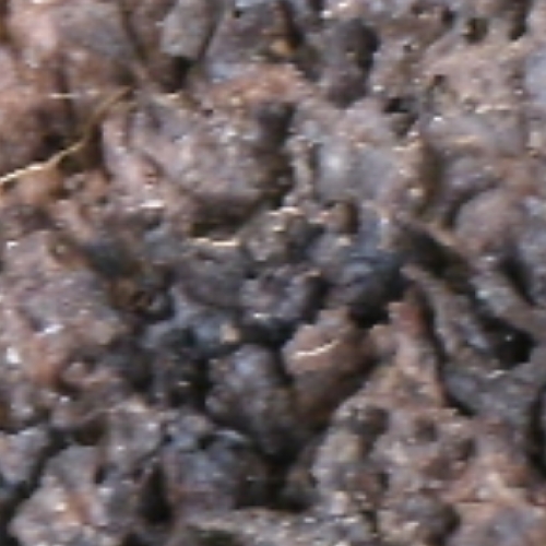 TERMITE NEST CITY (60).JPG