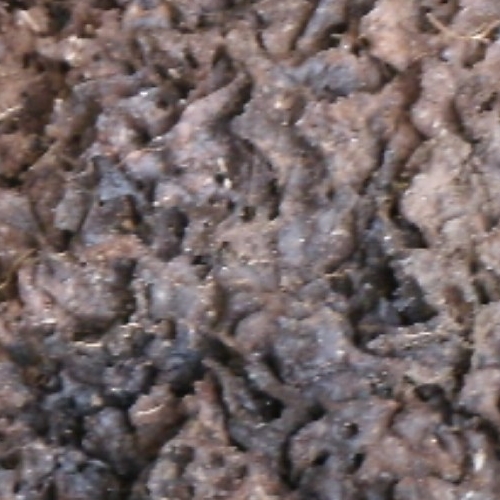 TERMITE NEST CITY (61).JPG