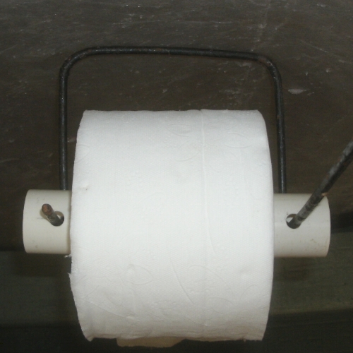 TOILET PAPER (1).JPG