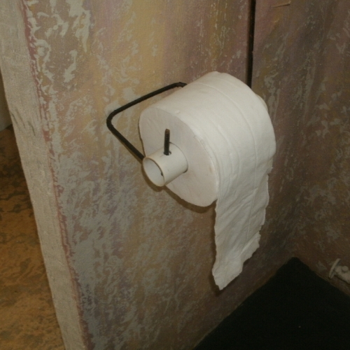 TOILET PAPER (4).JPG