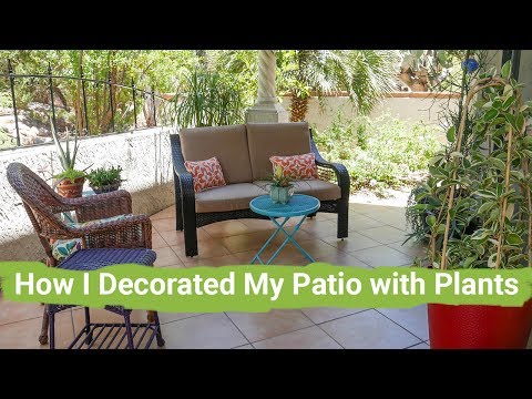 Take A Tour With Me: How I Decorated My Patio With Plants