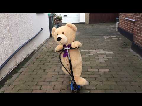 Teddy Scooter in the drive