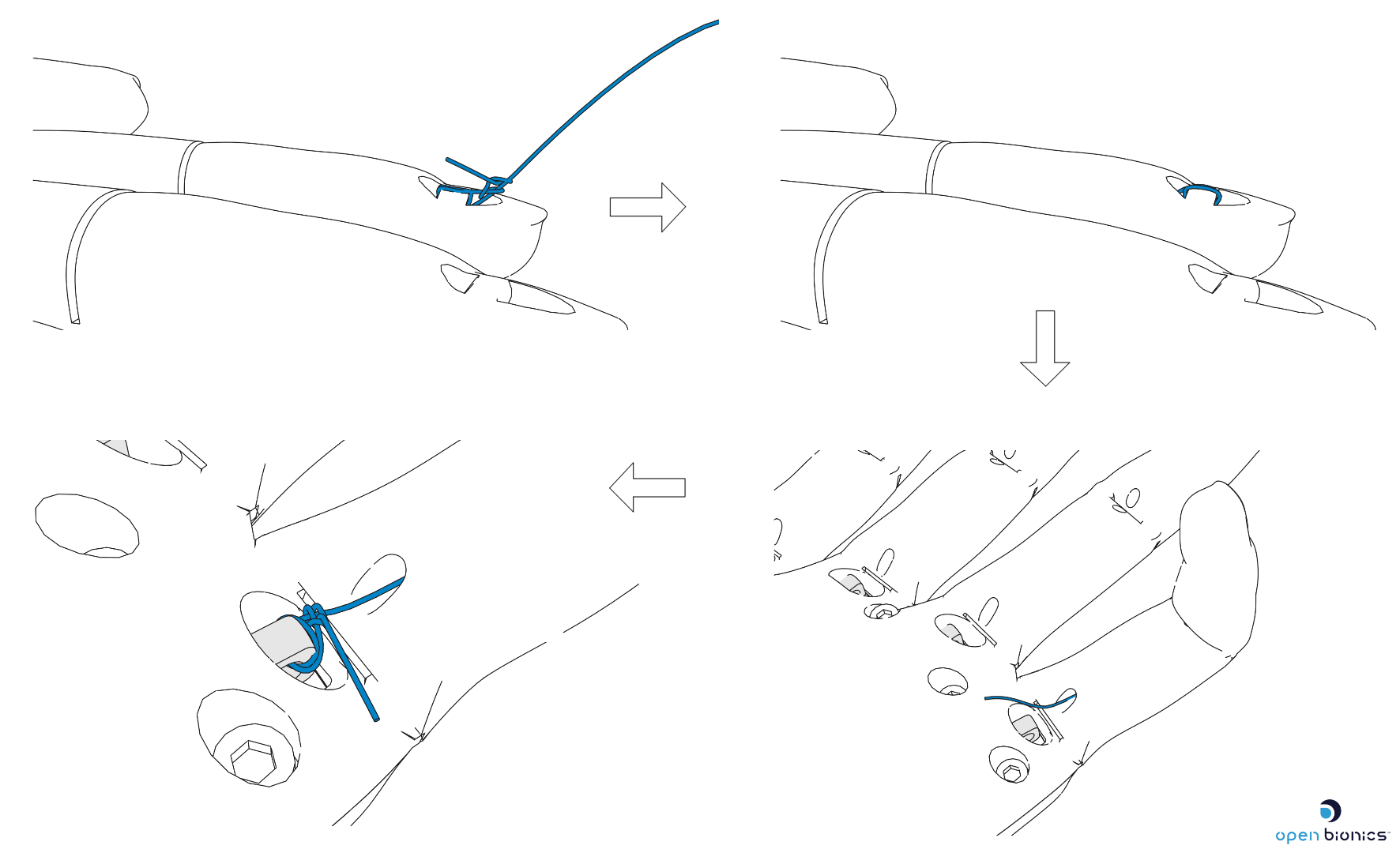 Tendon_Assembly.png