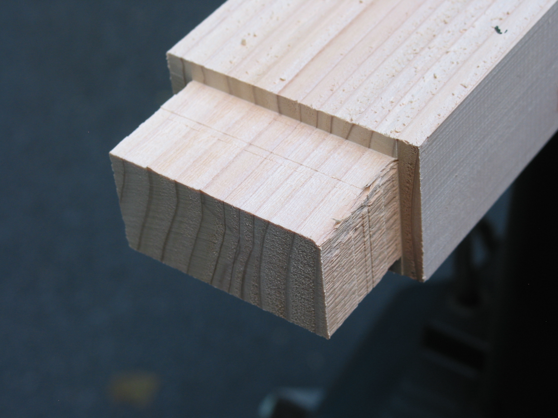 Tenon.JPG