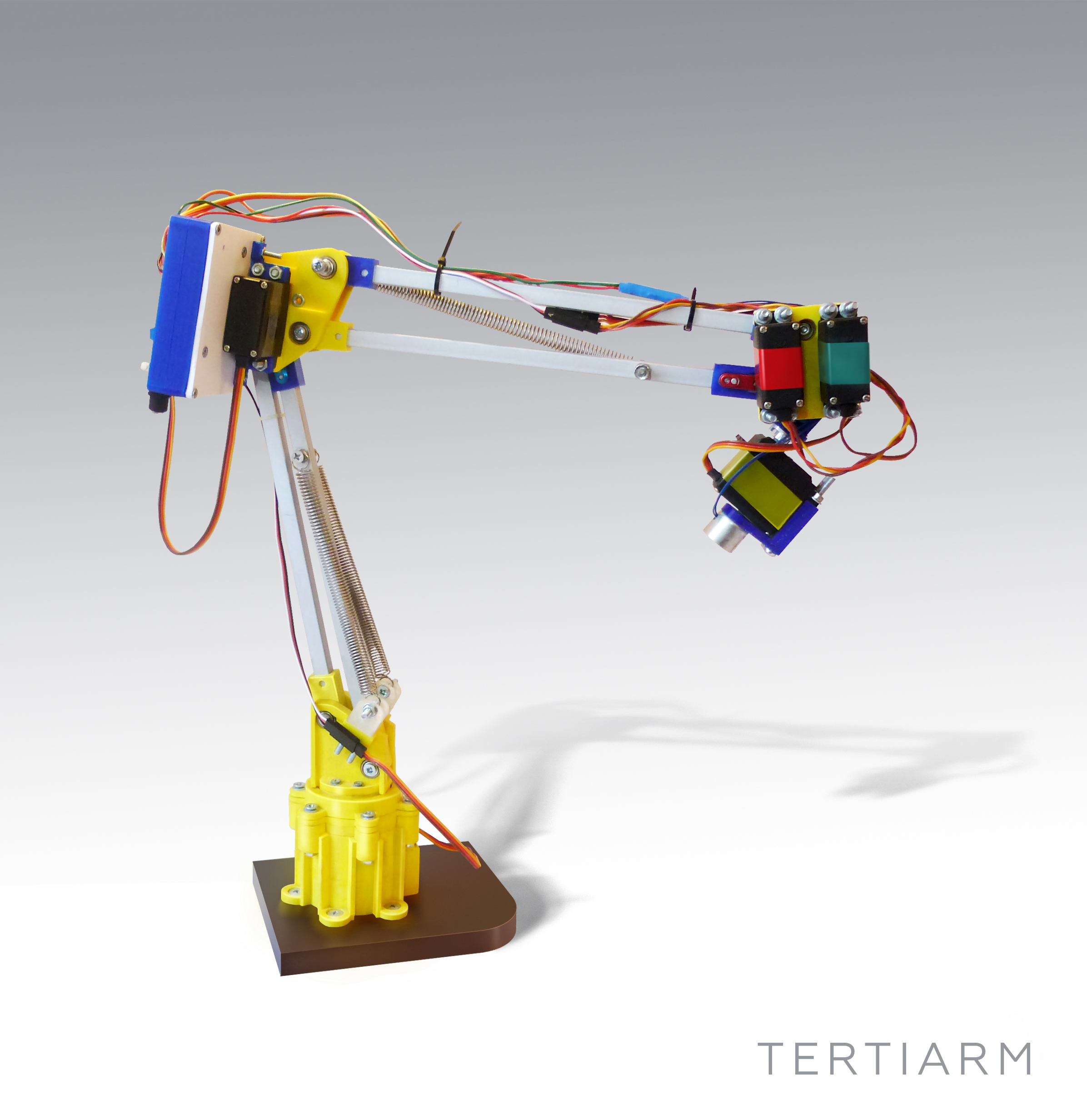 Tertiarm_02.jpg