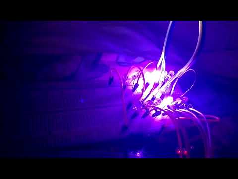 Testing the LED's