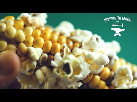 Thanksgiving Life Hack - Popcorn on the cob