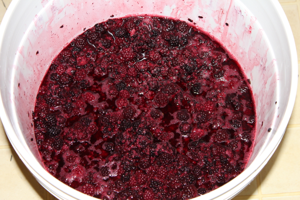 Thawed_Blackberries_with_Enzymes.jpg