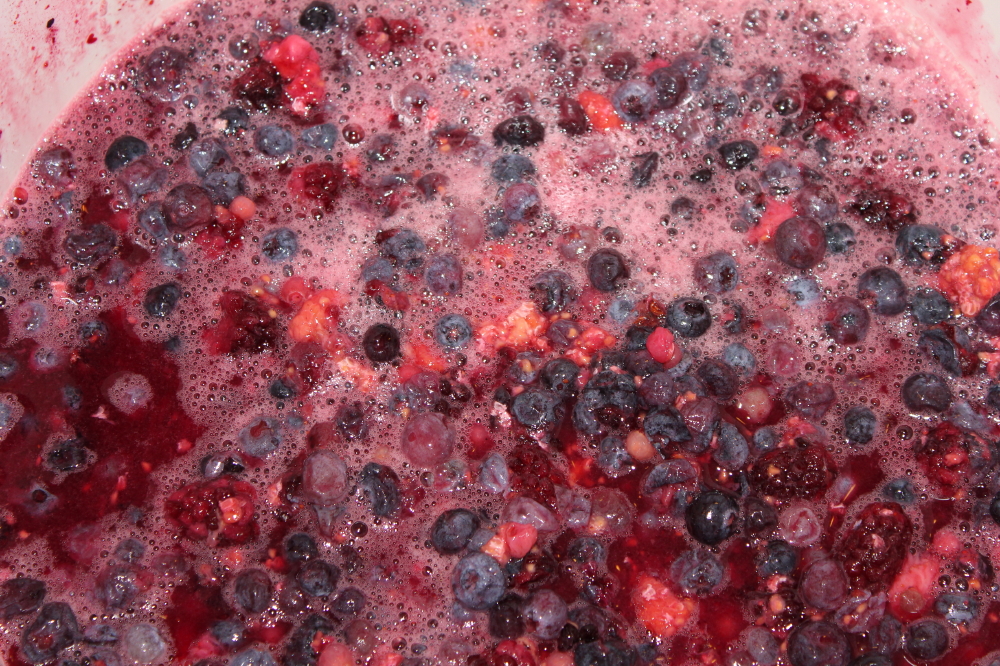 Thawed_Mixedberries.jpg