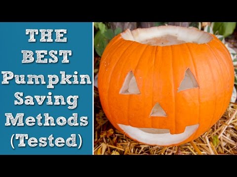 The BEST Method To Preserve Jack-O-Lanterns + Pumpkins