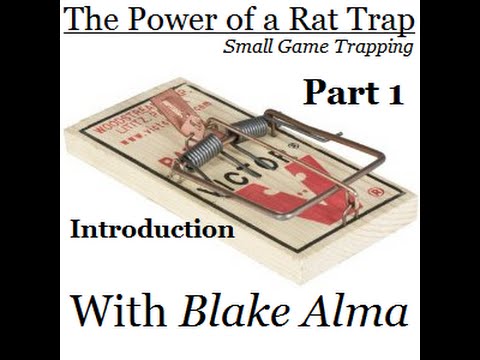 The Power of the Rat Trap, Small Game Trapping Part 1