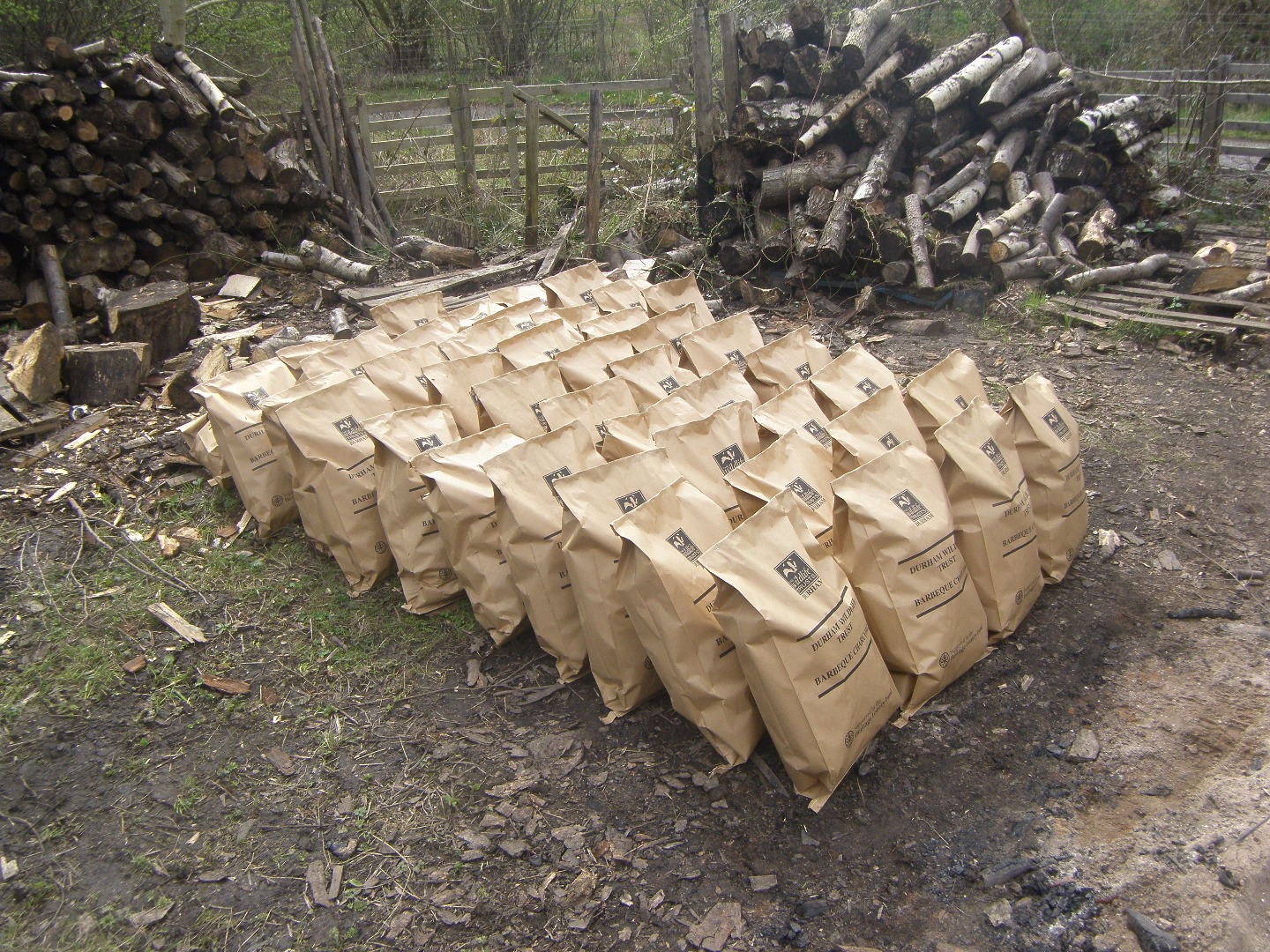 The charcoal all bagged.JPG