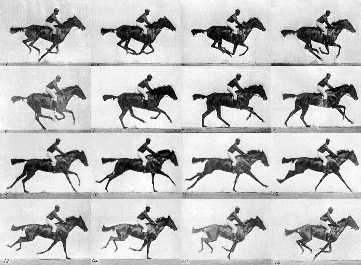 The-Horse-in-Motion-Eadweard-Muybridge-1878.png