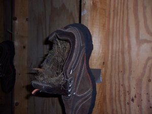 The_birdhouse_shoe_thing_by_Bardouv.jpg