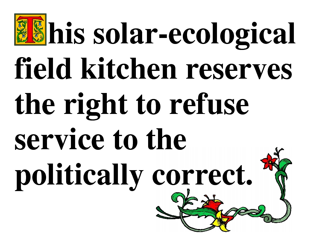 ThisSolar-EcologicalFieldKitchen.jpg