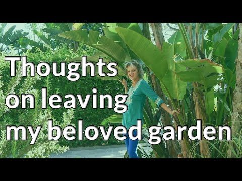 Thoughts on leaving  my beloved garden