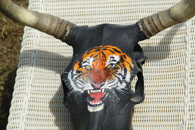 Tiger head 5.jpg