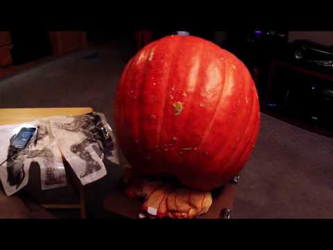 Time-lapse of pumpkin pattern over-tracing