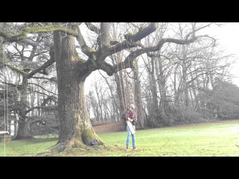 Timelapse swing in the park