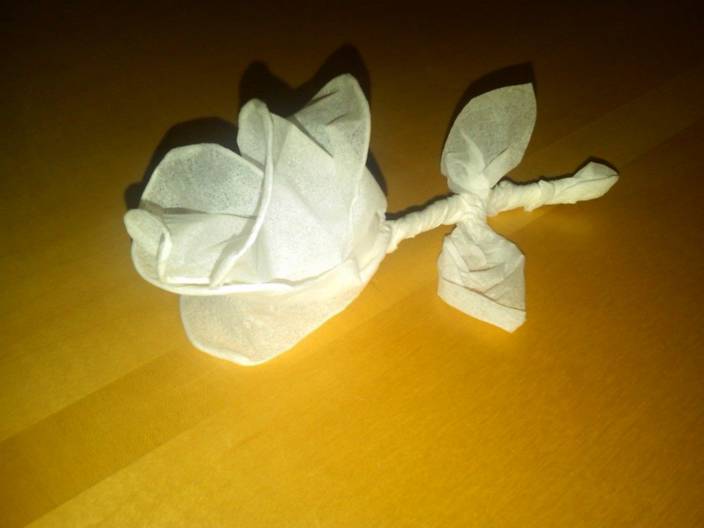 Tissue Rose.jpg