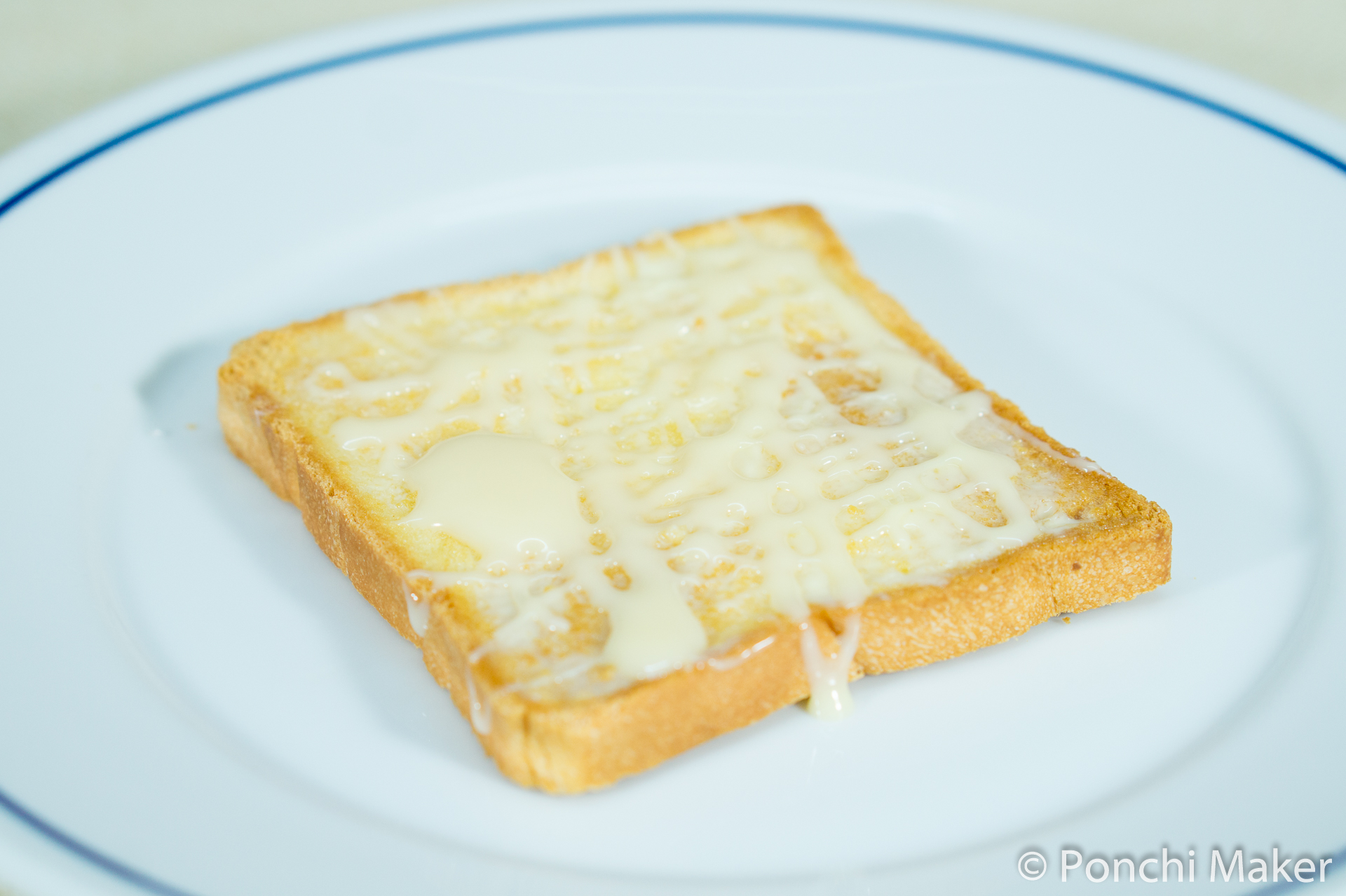 Toast Logo-03828.jpg