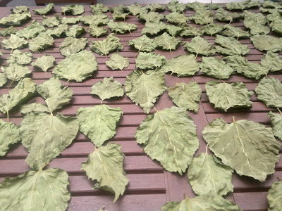 Tobacco leaf.jpg