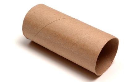 Toilet-paper-roll.jpg