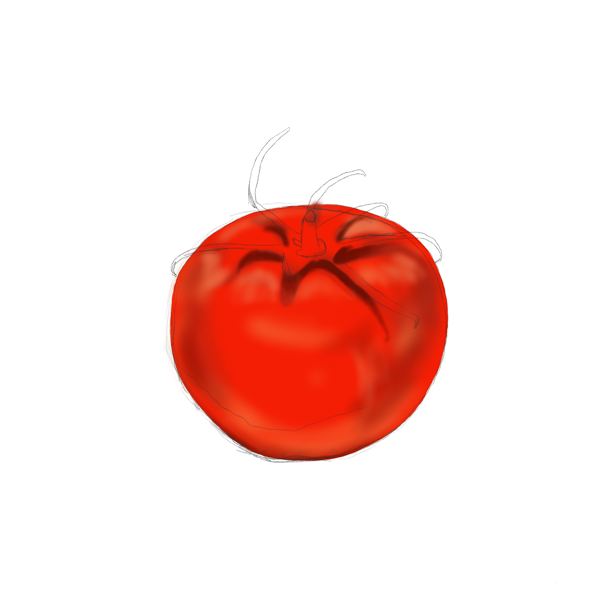 Tomato3.png