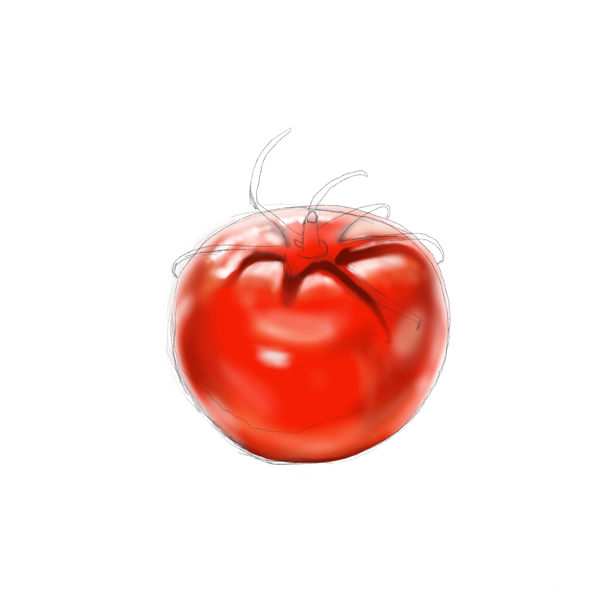 Tomato4.png