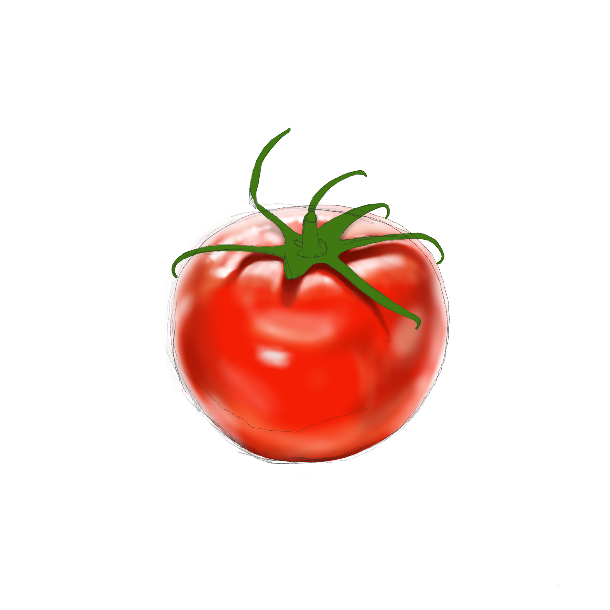 Tomato5.png