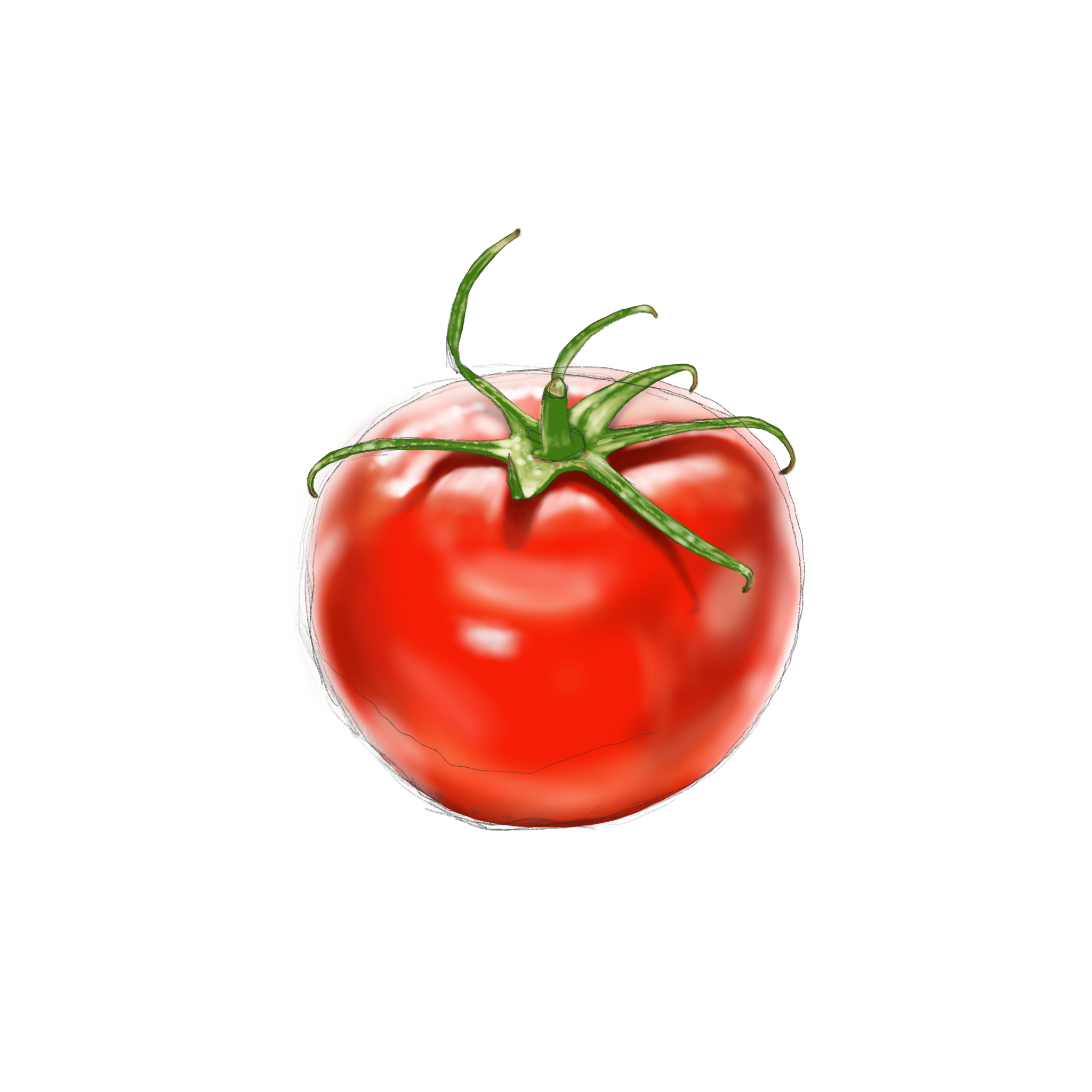 Tomato6.png