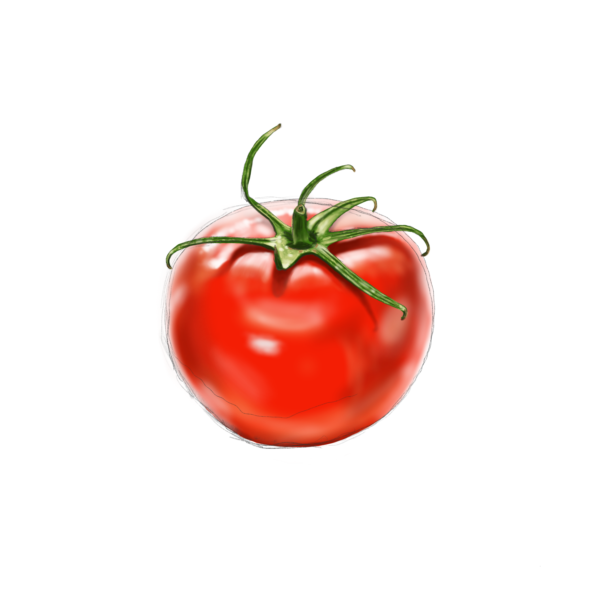 Tomato7.png