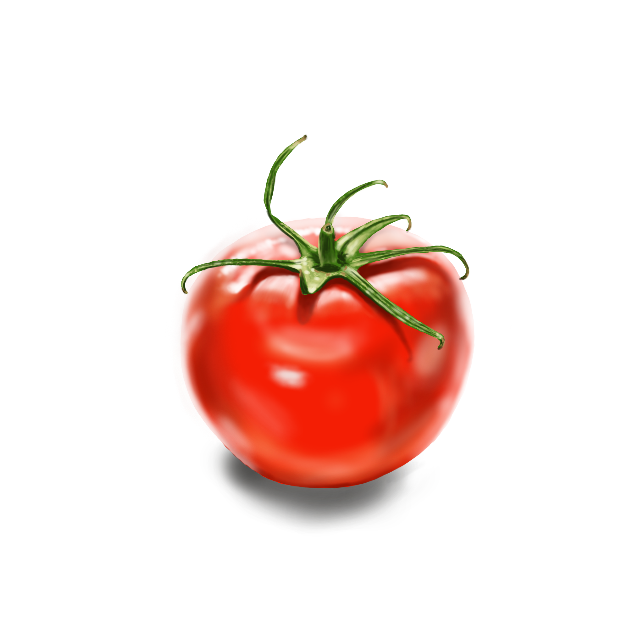 Tomato8.png