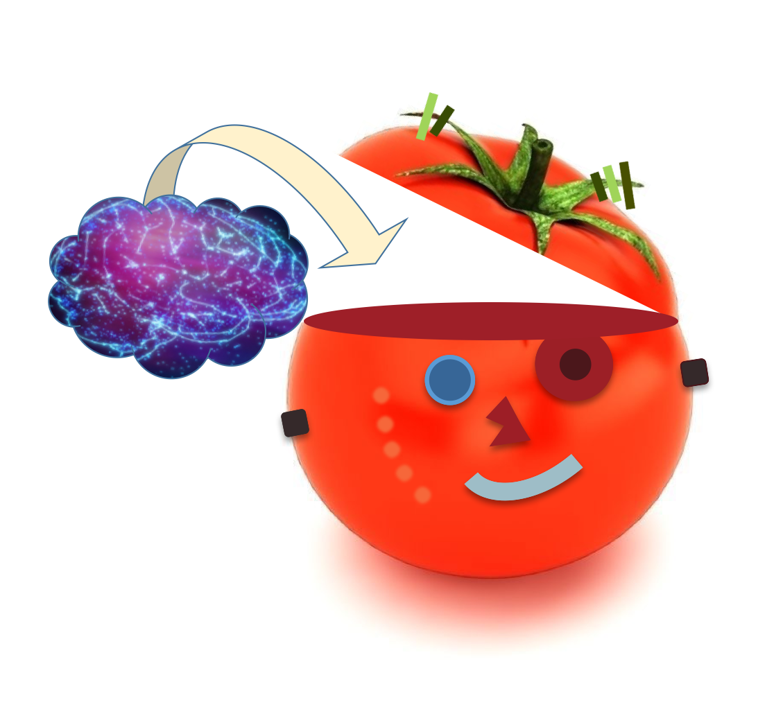 TomatoBrain.png