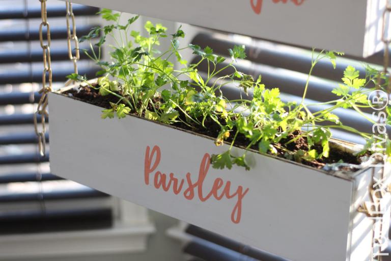 Toolbox Divas Vertical Herb Garden.jpg