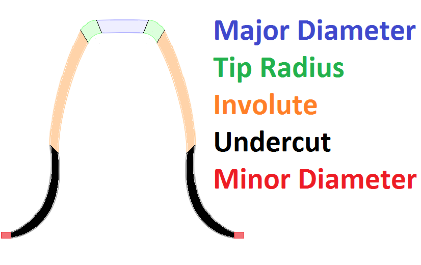 Tooth Segments.png