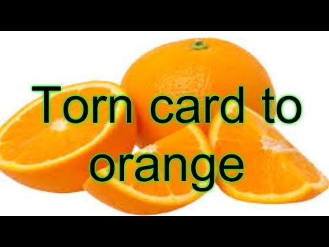 Torn card to orange revealed magic tricks revealed