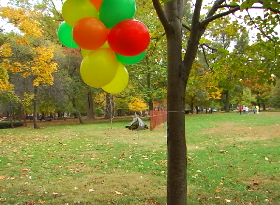 Tortoise Balloons Tree.PNG