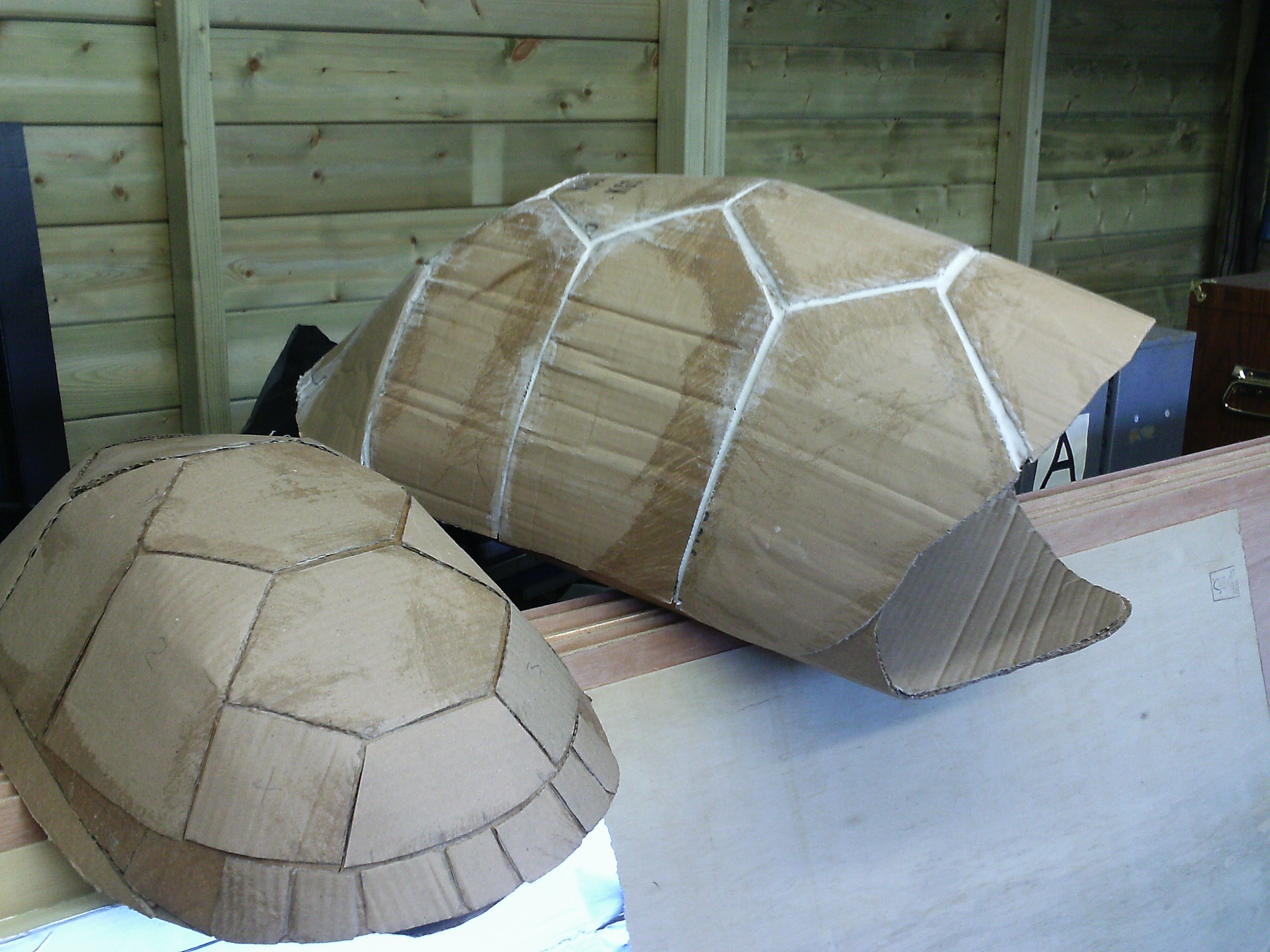 Tortoise part 2 (1).JPG