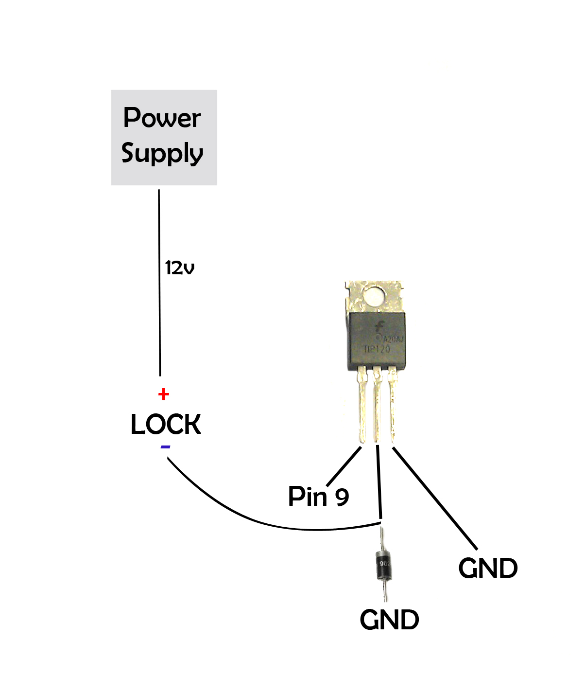 Transistor Layout.jpg