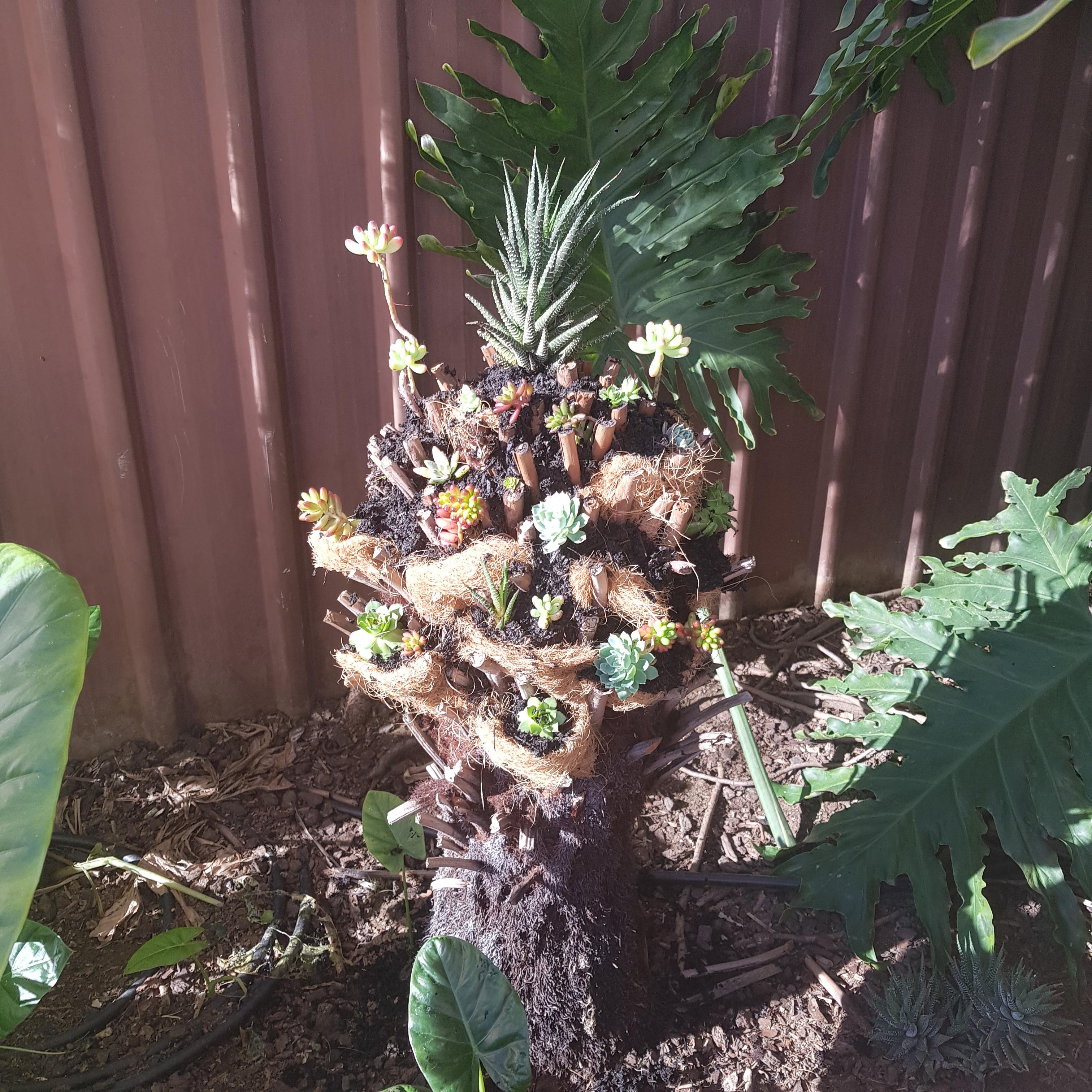 Tree fern planter (8).jpg