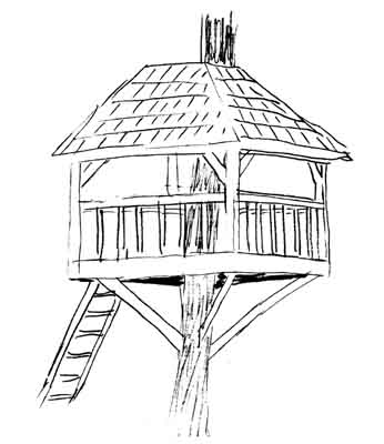 Treehouse1-Sketch.jpg