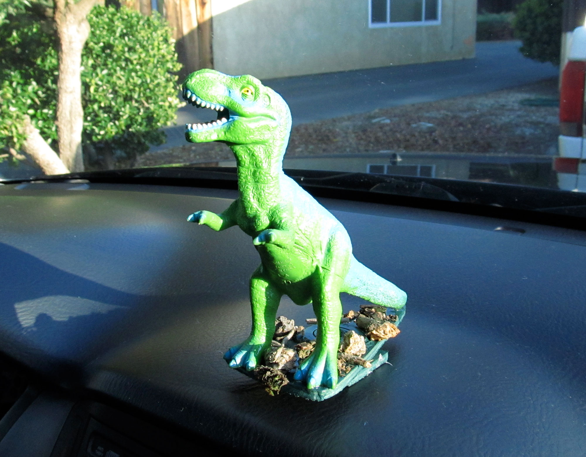 Trex-on-dash.jpg