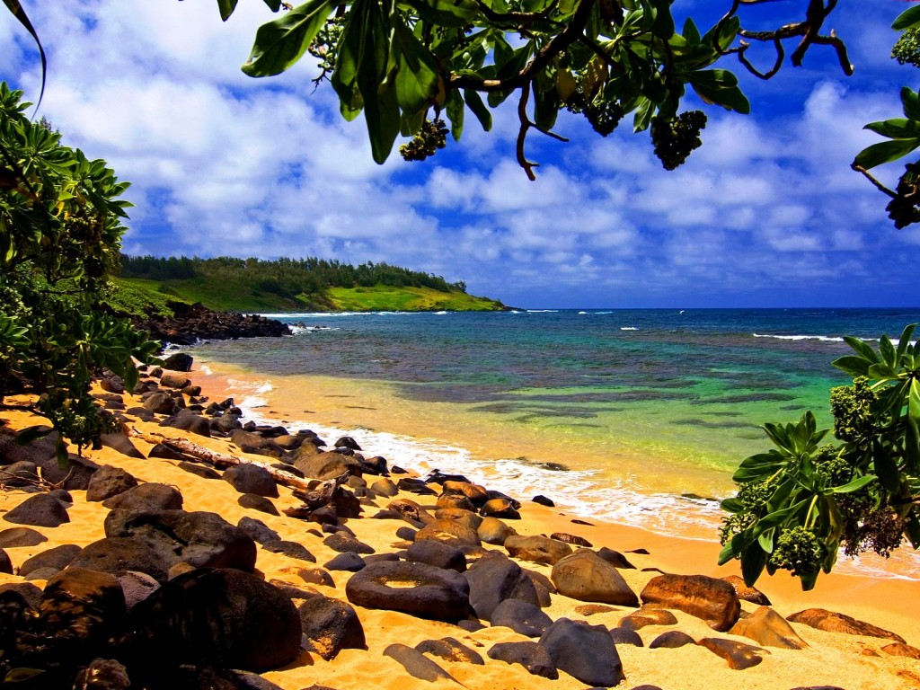 Tropical-Beach-Scene-Desktop-Background-Kauai-Beach-Hawaii-1024x768.jpg