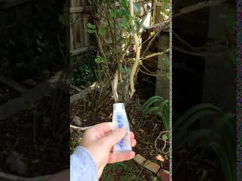 Tube Container Spray Video 1