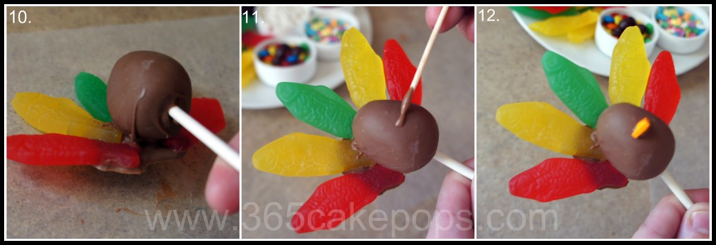 Turkey Cake Pop Collage_4.jpg