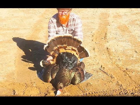 Turkey Streamer Fly - Feathers are from a turkey I shot