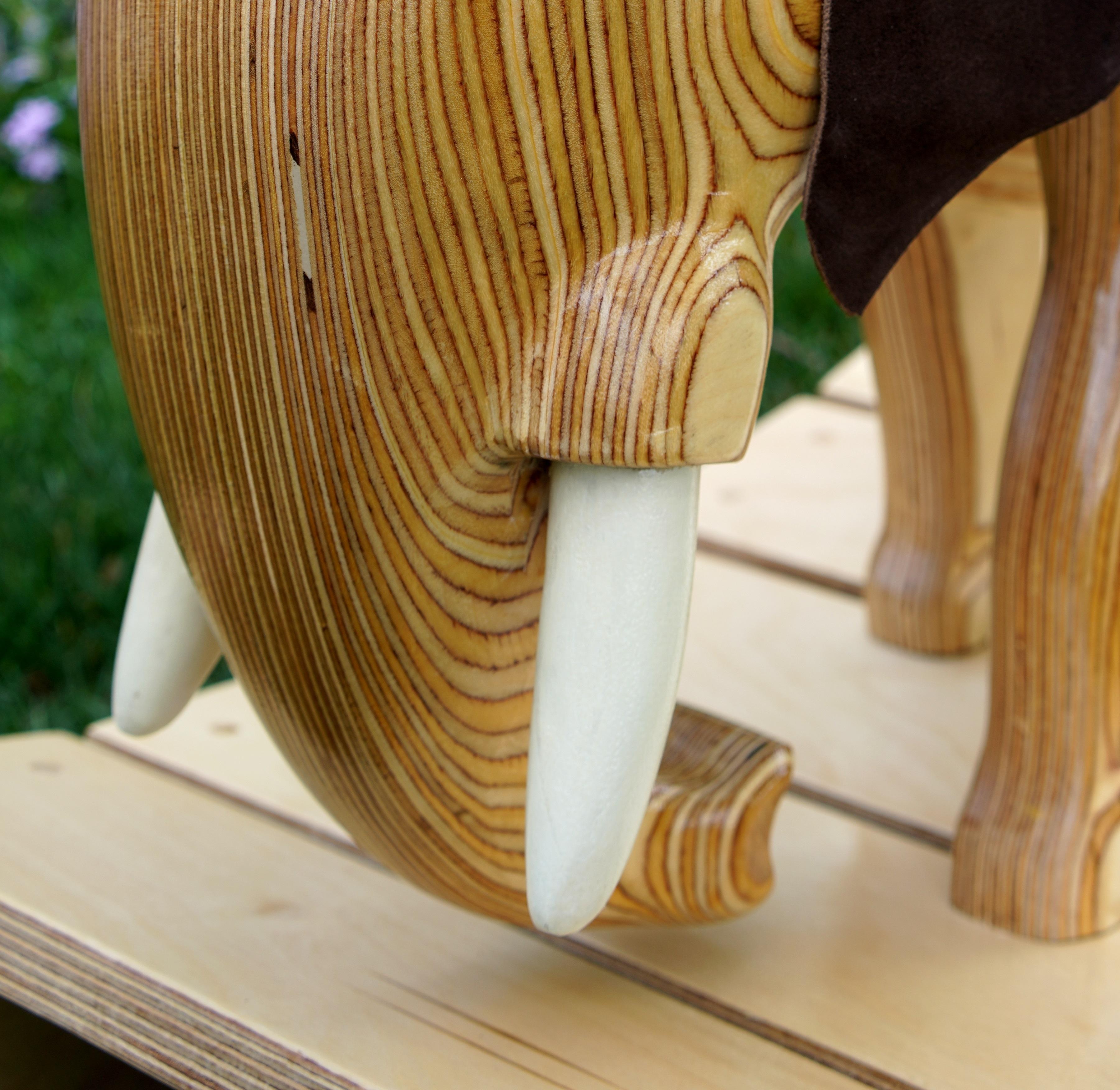 Tusk closeup.jpg